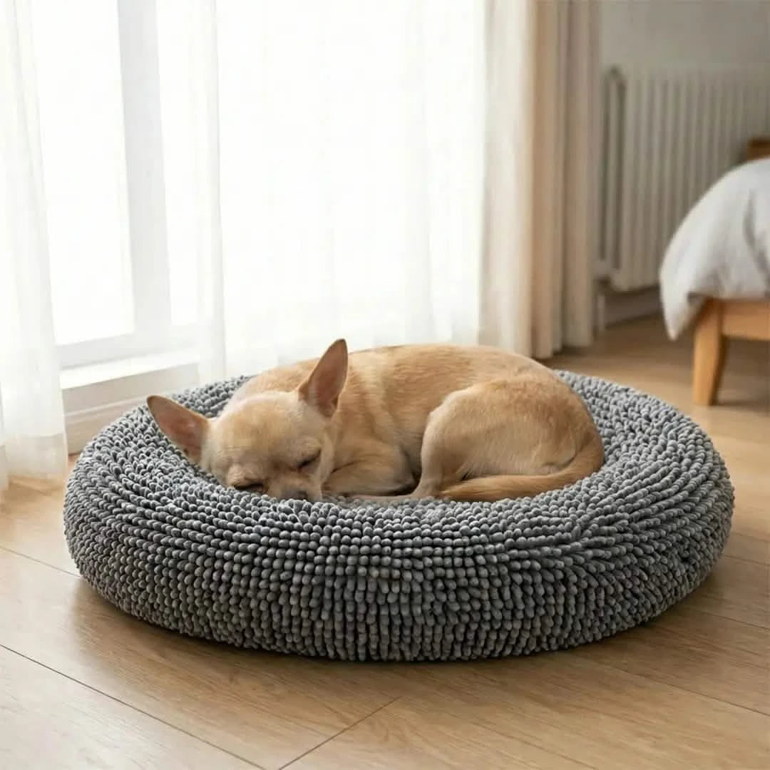 Cloud K9 beds