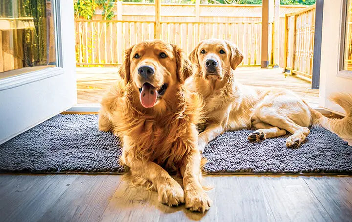 Anti-mud mats