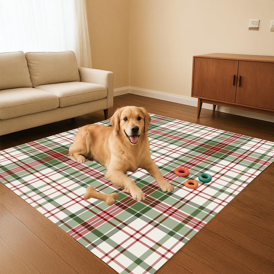 Muddy Carpet Plaid Washable Area Rug for Living Room, Bedroom and Dining Room